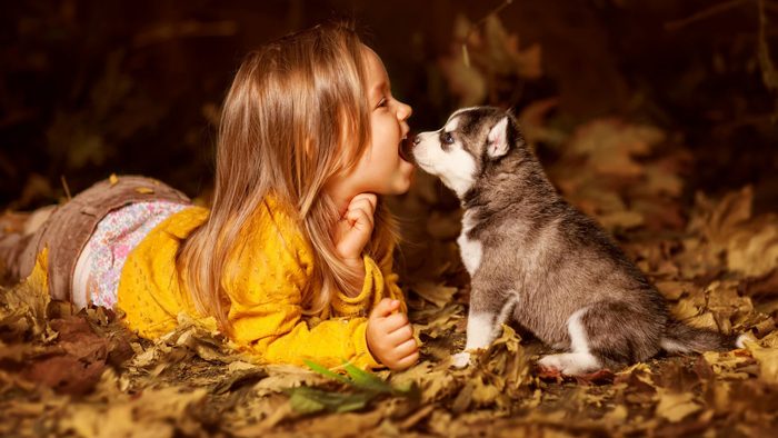 צילומי סתיו עם כלב