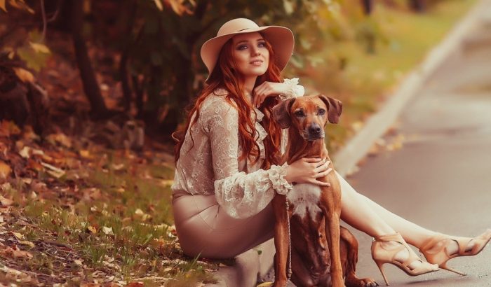 צילומי סתיו עם כלב