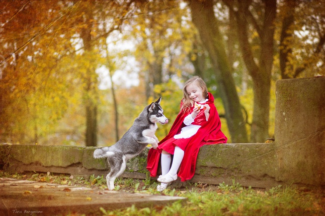 צילומי סתיו עם כלב