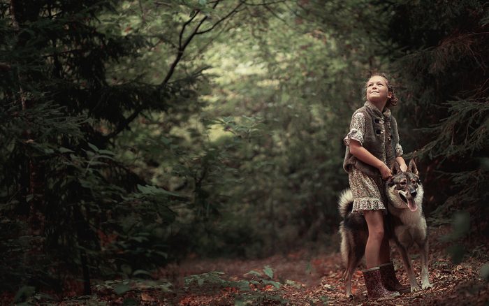 צילומי סתיו עם כלב