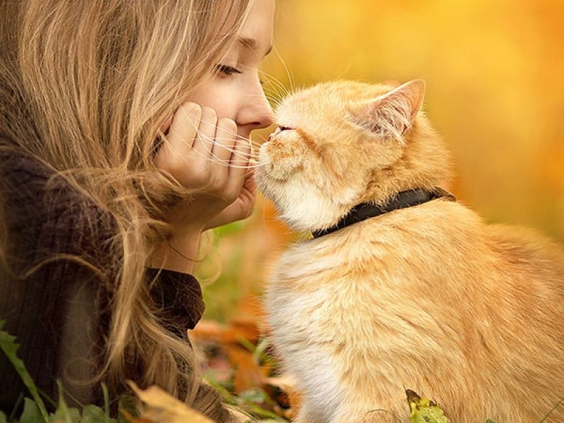 צילומים עם חתול: רעיונות סתיו לצילומים מדהימים