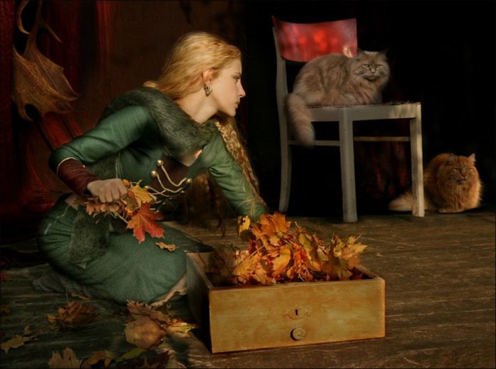 צילומי סתיו עם חתול