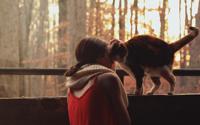 צילומי סתיו עם חתול