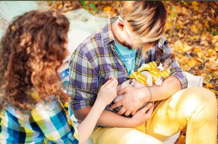 צילומי סתיו עם חתול