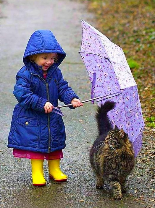 צילומי סתיו עם חתול