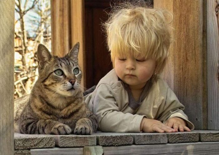 צילומי סתיו עם חתול