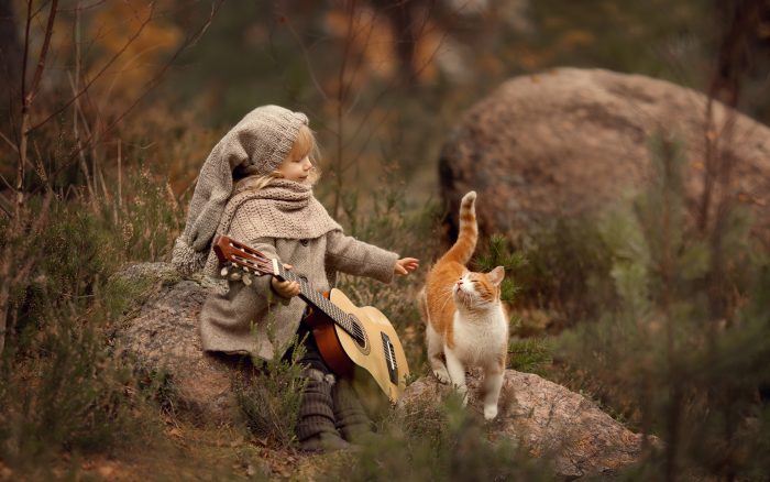 צילומי סתיו עם חתול