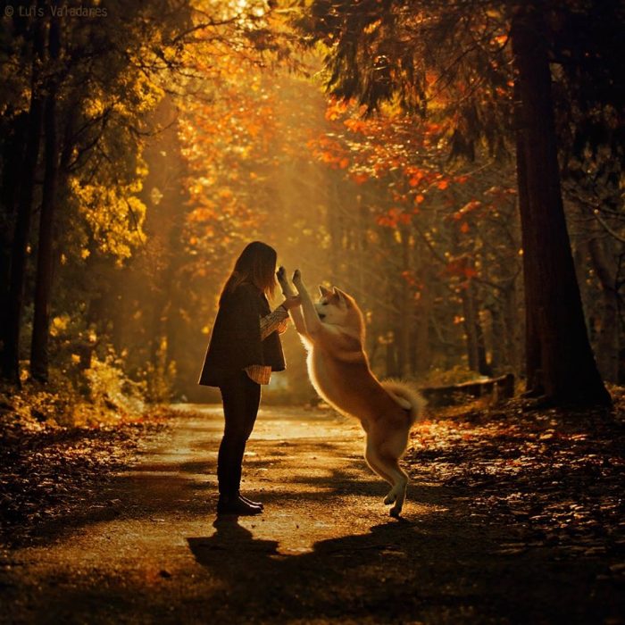 צילומי סתיו עם כלב