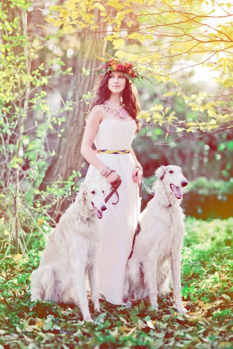 צילומי סתיו עם כלב