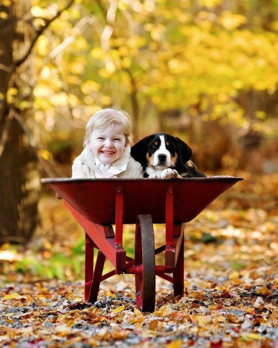 צילומי סתיו עם חיות מחמד