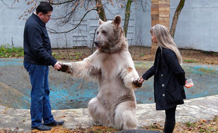 סטפן ובעליו