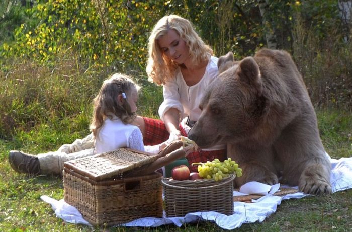 דוגמן-צילום דוב