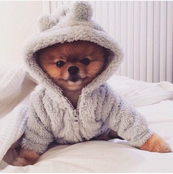 שפיץ בפיג'מה