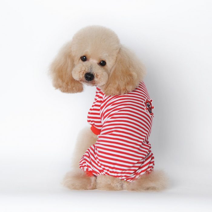 כלב בפיג'מה מפוספסת