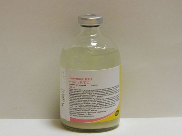 סינולוקס לחתולים