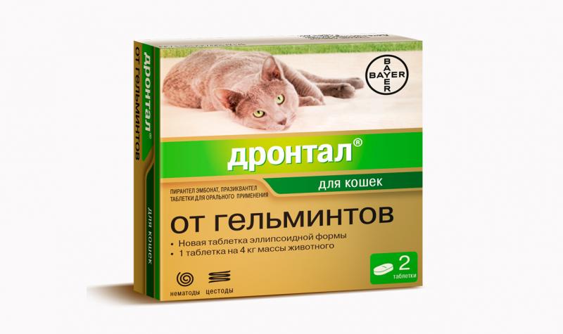 דרונטל לחתולים: הוראות שימוש