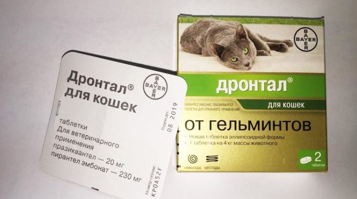 דרונטל לחתולים