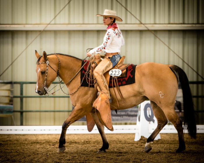 רכיבה על סוסים