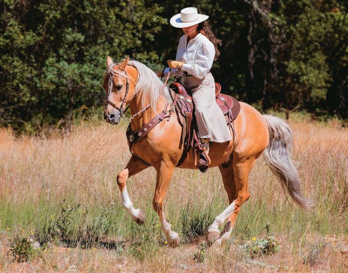 קנטר אסוף (לולאה)