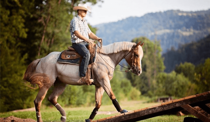 הכניסה לגשר