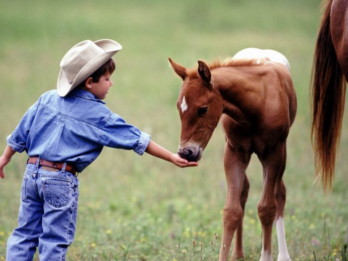 סייח לפני ניקוי