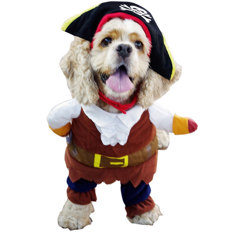 כלב מחופש לפיראט