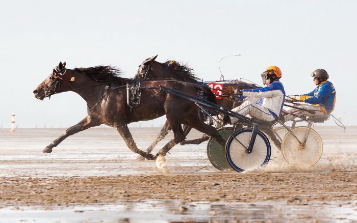כיסאות נדנדה מודרניים