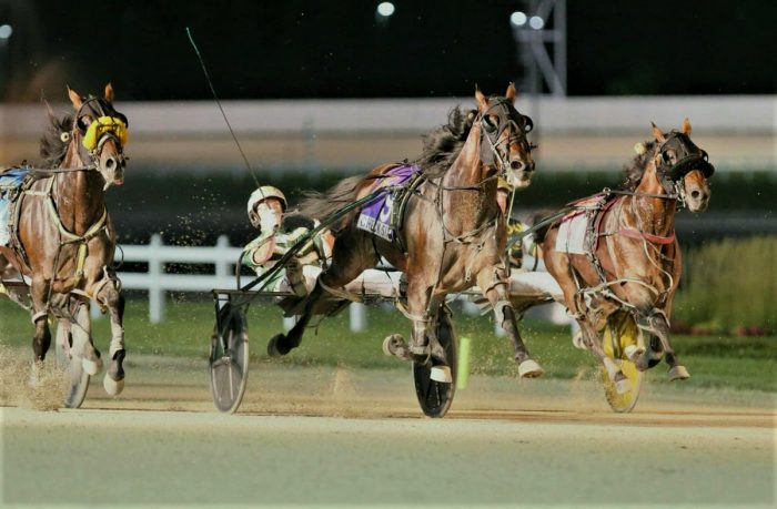 מרוצי טרוטר בלילה