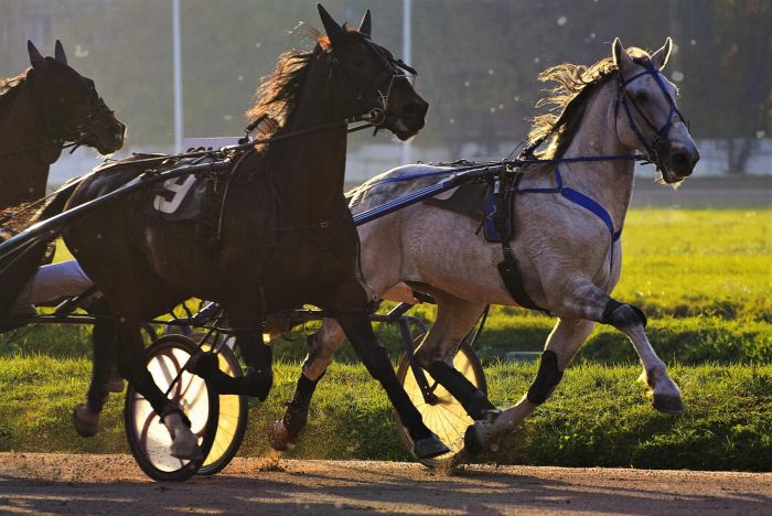 מרוץ טרוטר אורלוב