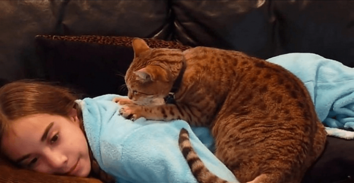 ילדה עם חתול