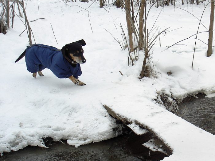 דכסהונד בטיול חורף