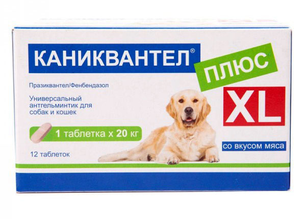 חופשה קוואנטל פלוס