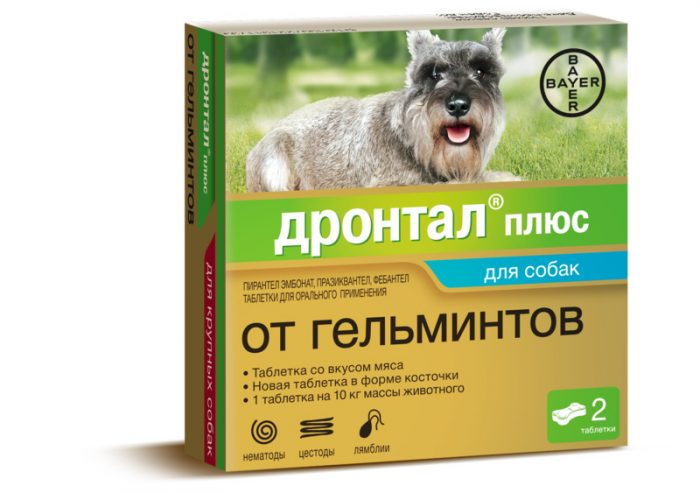 דרונטל פלוס