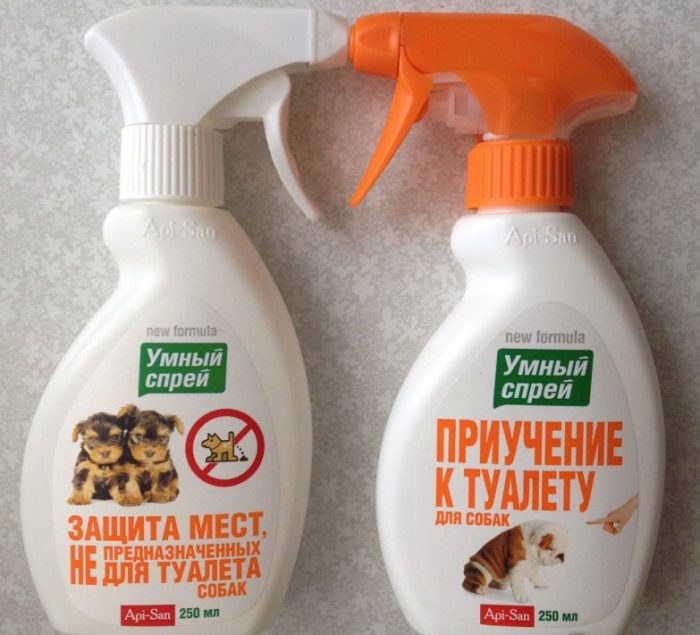 תרסיס לאימון שירותים