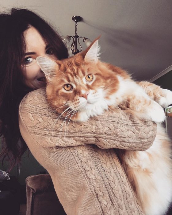 סטפני הרסט והחתול הענק שלה