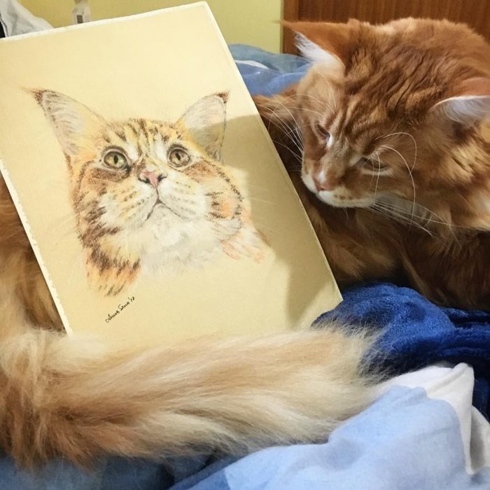 החתול הגדול ביותר בעולם