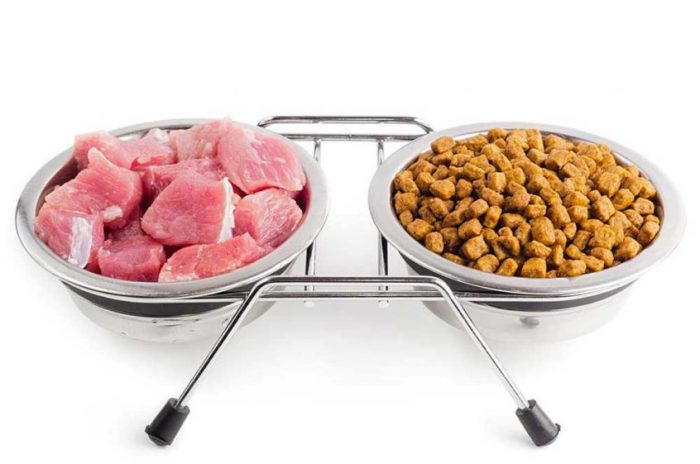 בשר טרי ומזון יבש