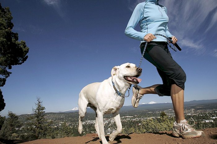 אישה רצה עם כלב