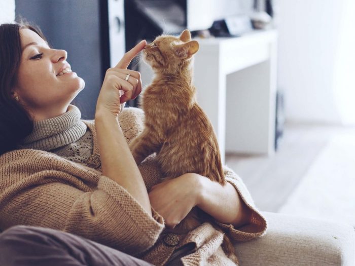 חתול יושב בזרועותיה של ילדה