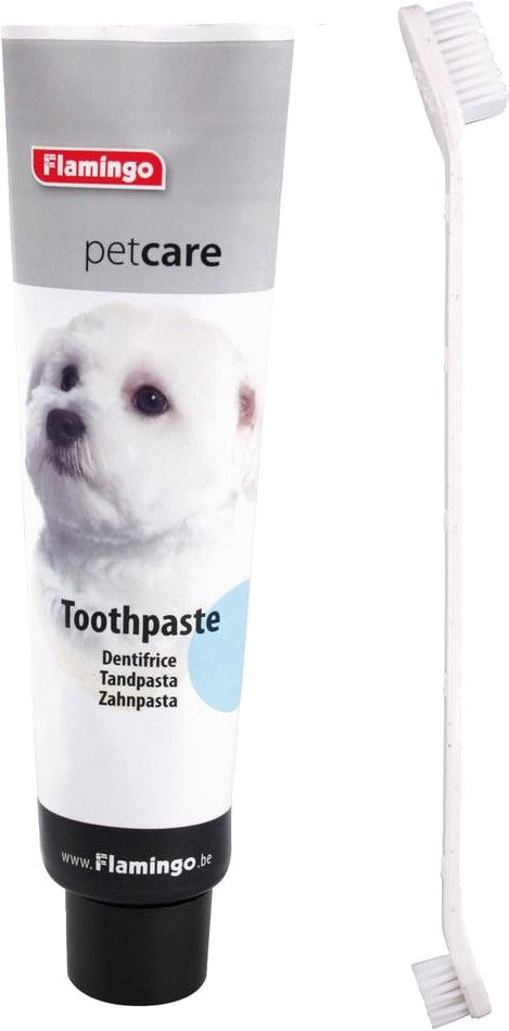 1548169154_toothpaste_i_brush_dlya_sobak_1548169138_5c472fb22332c.jpg