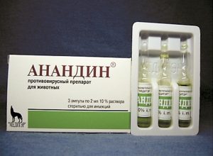 תמיסת הזרקת אנאנדין