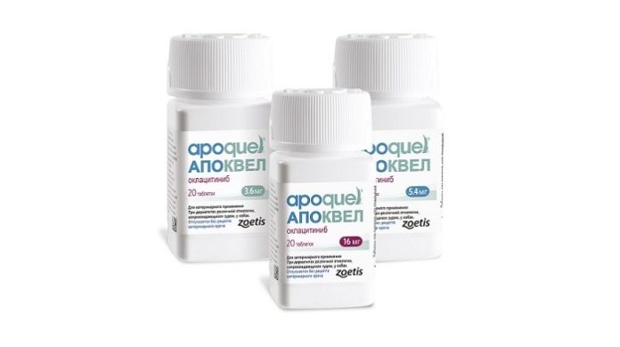 אפוקוול לכלבים