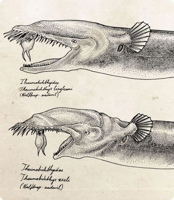 תאומטיכט אקסל