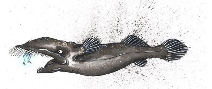 תאומטיכט אקסל