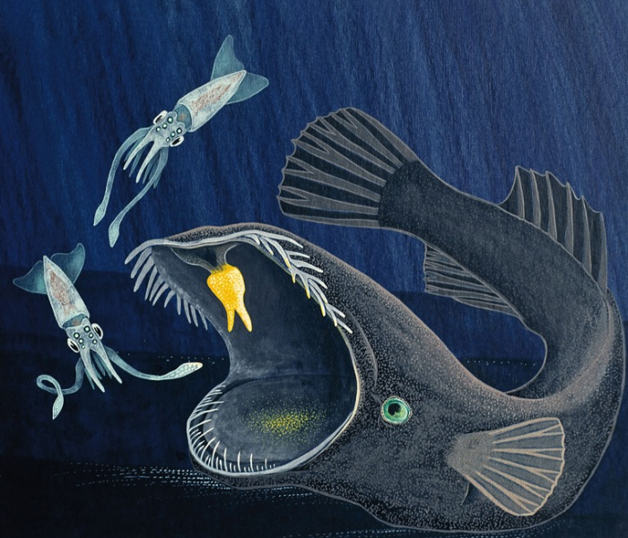 תאומטיכט אקסל