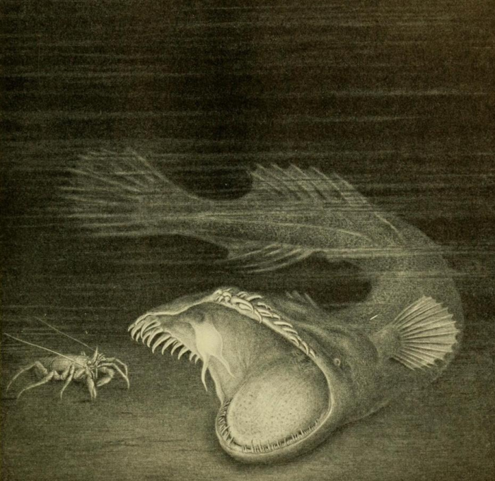 תאומטיכט אקסל