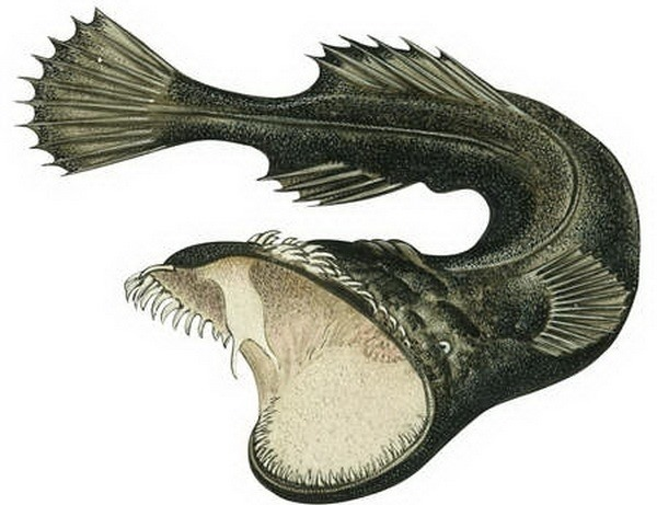 תאומטיכט אקסל