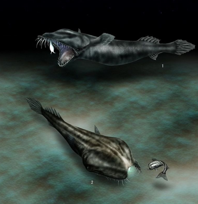 תאומטיכט אקסל