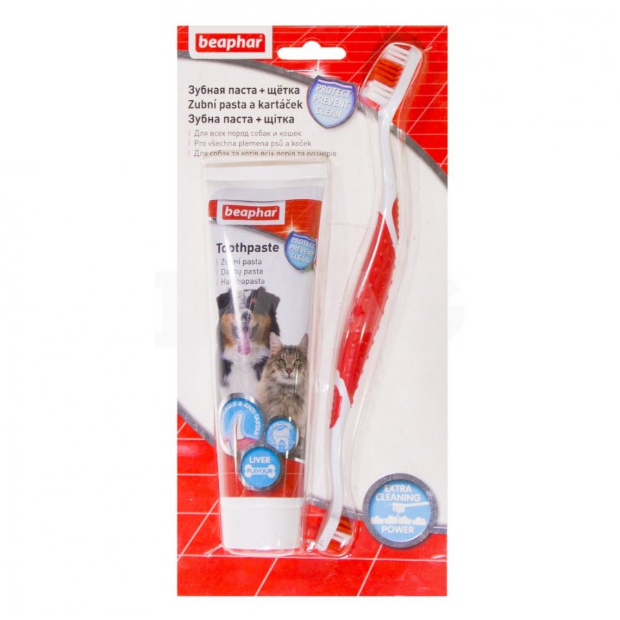 משחת שיניים ומברשת לחתולים_1548448694_5c4b73b654b89.jpeg