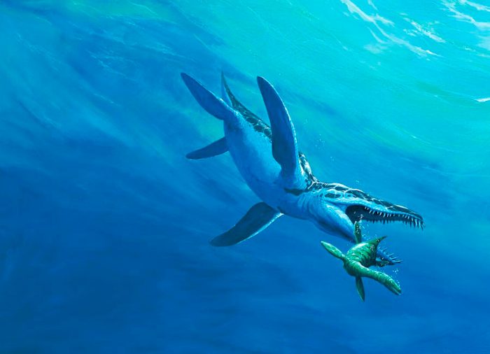 ליופלורודון